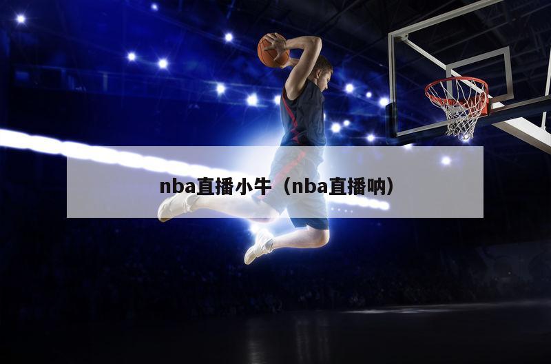 nba直播小牛（nba直播呐）